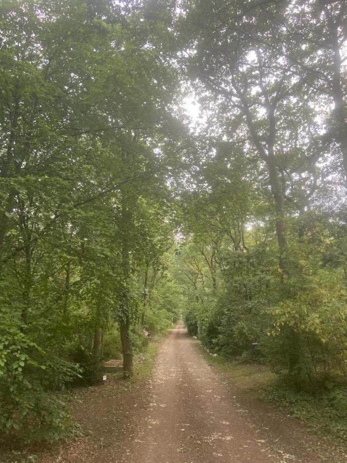 Buitenlust In Het Bos Zuidlaren Buitenkant foto