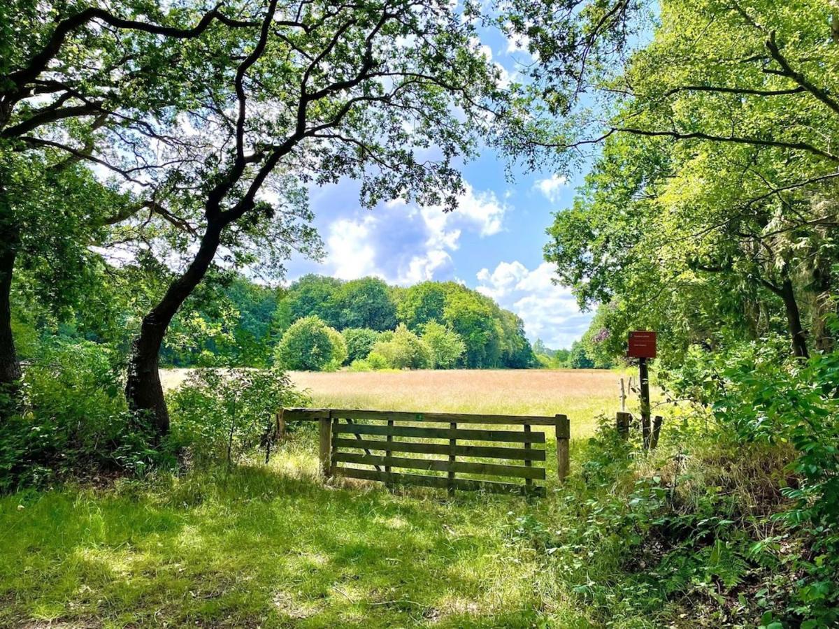 Buitenlust In Het Bos Zuidlaren Buitenkant foto