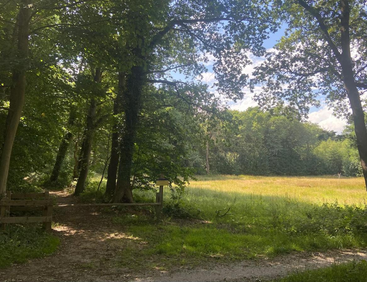 Buitenlust In Het Bos Zuidlaren Buitenkant foto